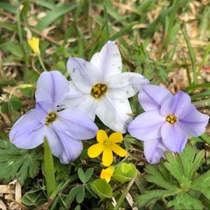 Meet your Posher, Ava